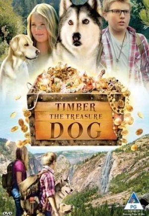 Timber the Treasure Dog