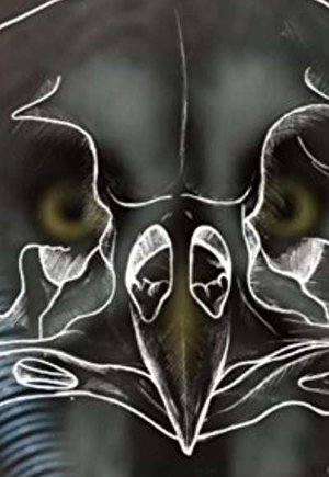 Owl Power
