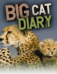 Big Cat Diary