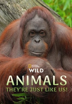 Animals, They're Just Like Us!