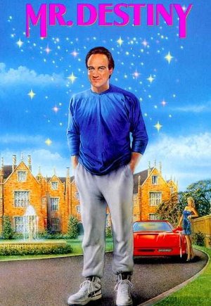 Mr. Destiny