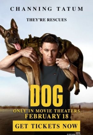 Dog