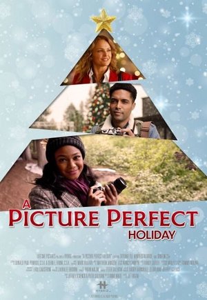 A Picture Perfect Holiday