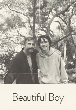 Beautiful Boy