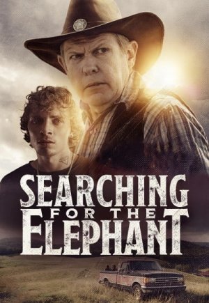 Searching for the Elephant