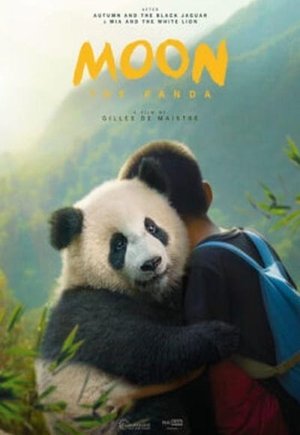 Moon le panda