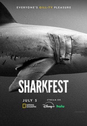 Investigation Shark Attack