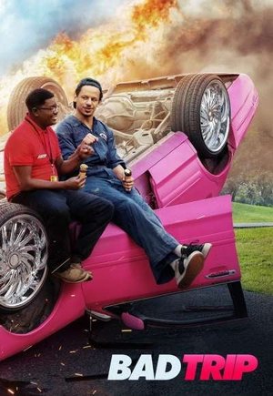 Bad Trip