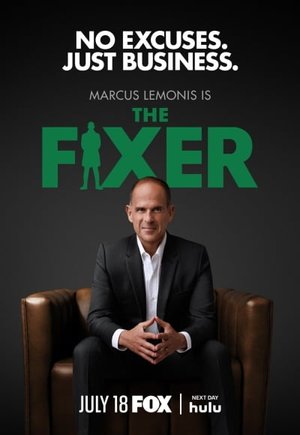 The Fixer
