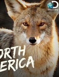 North America