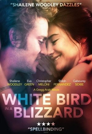 White Bird in a Blizzard