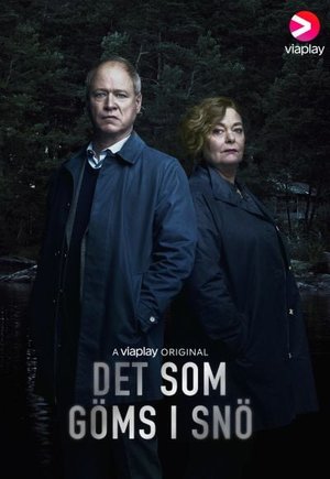 Det som göms i snö