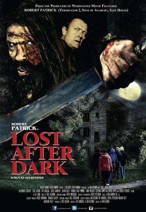 Lost After Dark