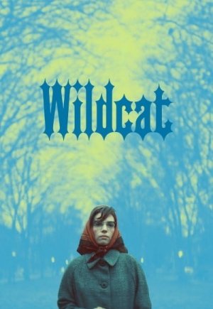Wildcat